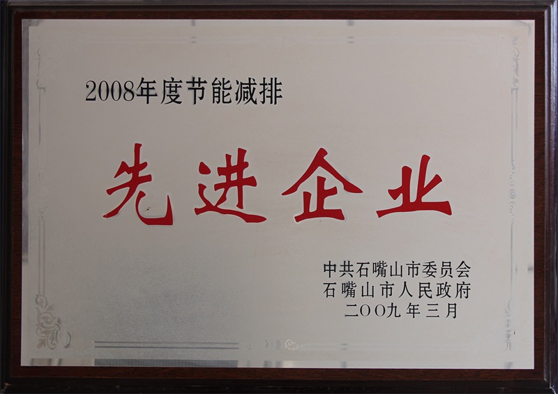 2008年度節(jié)能減排先進企業(yè)